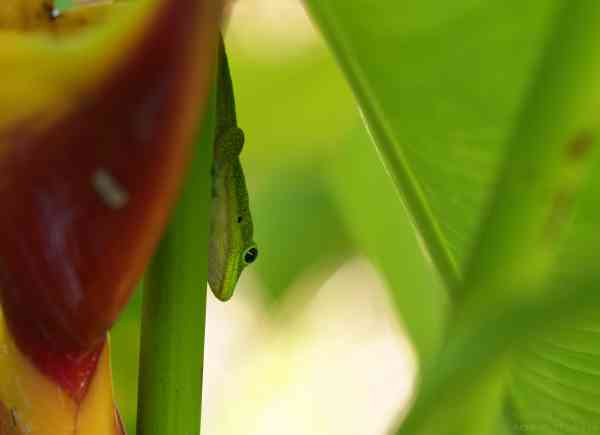 _DSC6204_DxO_DxO-1.jpg