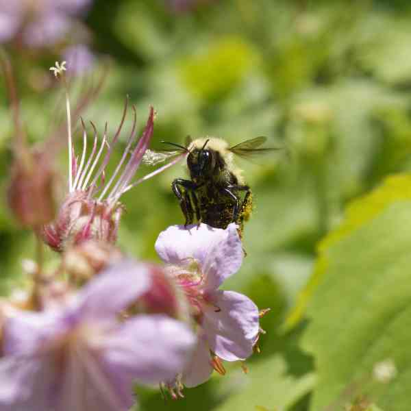 _DSC9062_DxO_p.jpg
